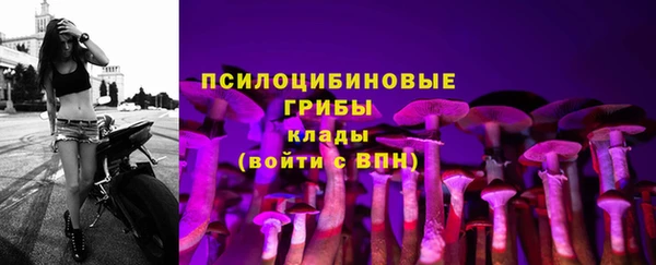 mdpv Дмитровск