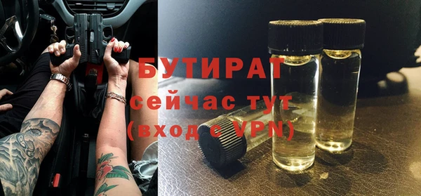 гидра Елизово