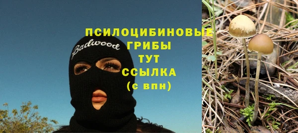 трава Дмитров