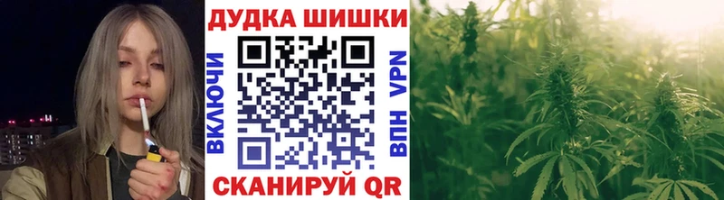 Купить Оленегорск Бошки марихуана Amnesia
